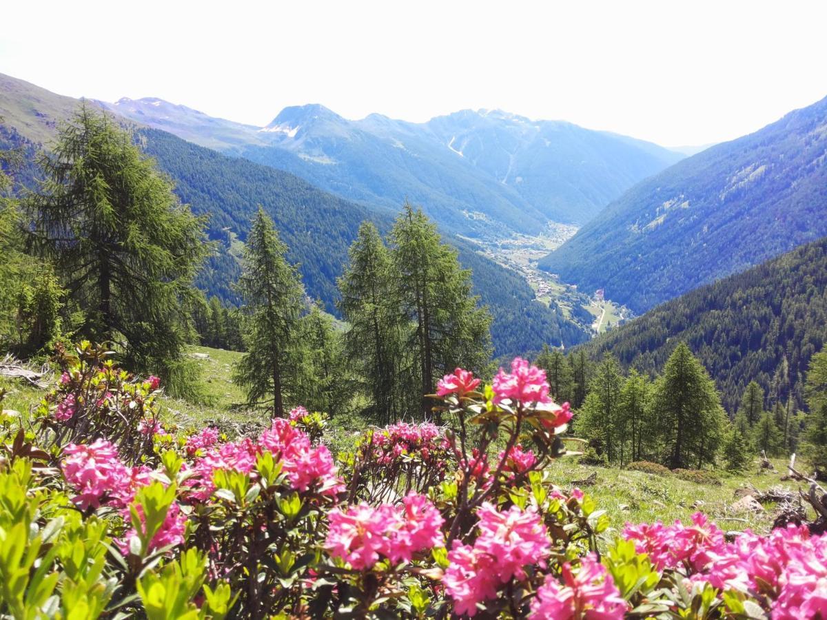 Appartamenti Rabbi Fonti Bagni di Rabbi Buitenkant foto