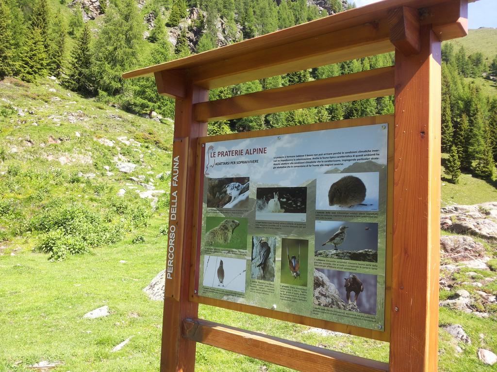 Appartamenti Rabbi Fonti Bagni di Rabbi Buitenkant foto