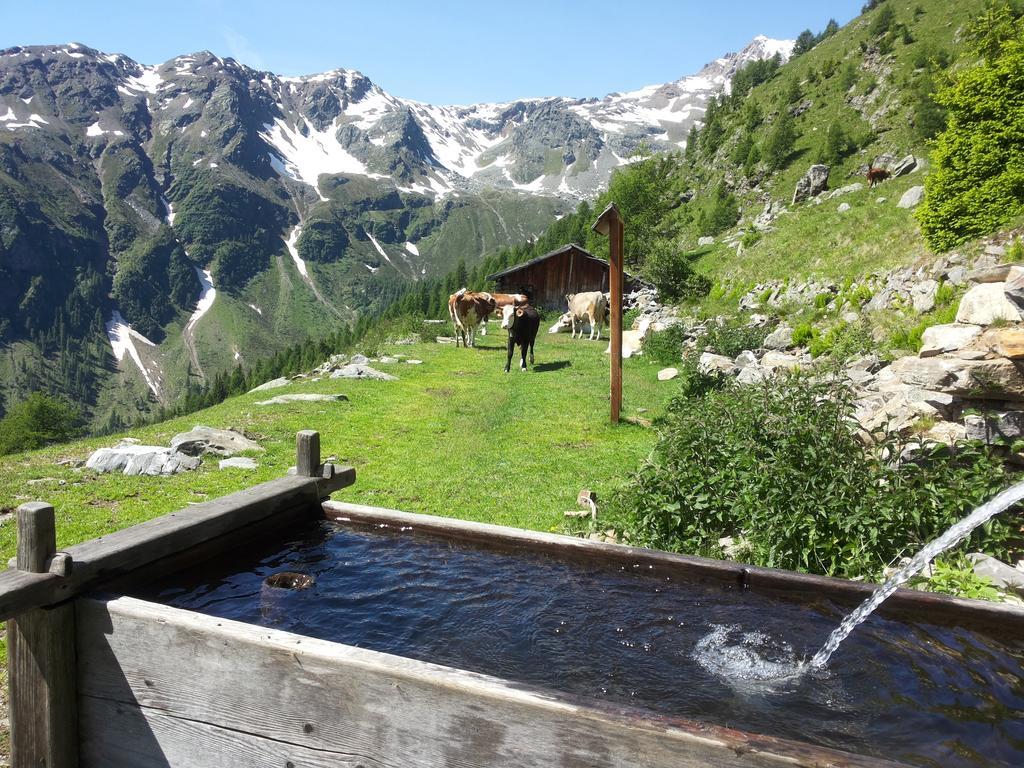 Appartamenti Rabbi Fonti Bagni di Rabbi Buitenkant foto