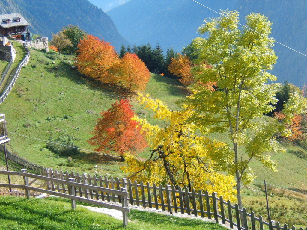 Appartamenti Rabbi Fonti Bagni di Rabbi Buitenkant foto